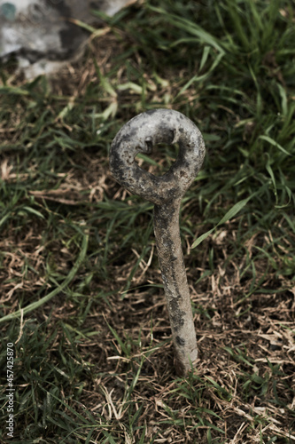 metal anchor in the middle of the forest
