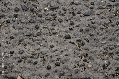 Old forest rock with beautiful cracked texture