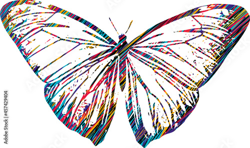 Colorful Butterfly sketch photo