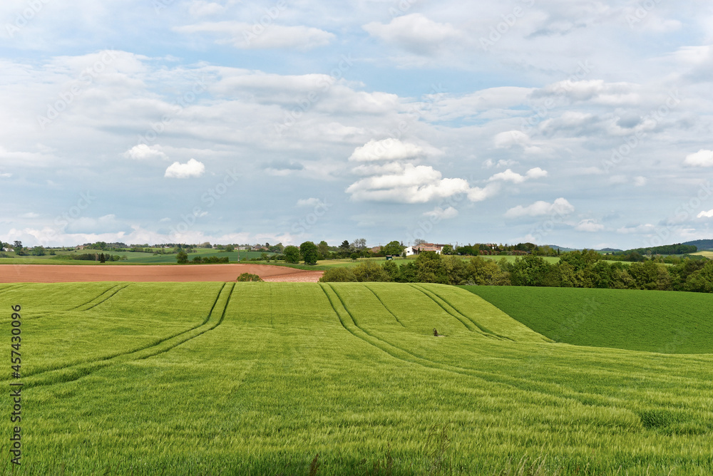 Frankreich - Roumégoux - Felder Frankreich - Roumégoux - Felder