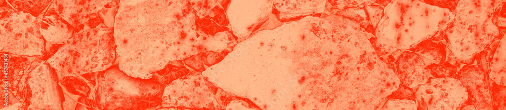 Fototapeta premium abstract live coral color background for design
