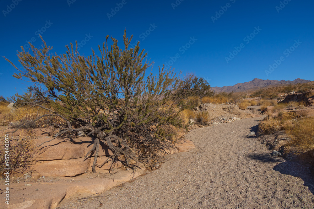 Hiking trail in Lake Mead National Recreation Area, Nevada