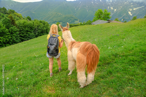 Obraz na płótnie Woman trekking with llama alpaca on top of Comino mount in Switzerland. Centovalli location in Ticino canton. Top of cable car station: Verdasio-Monte Comino. w salonie