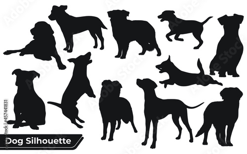 Collection of animal Dog in different positions