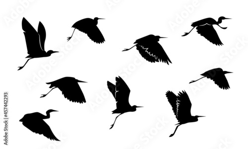 Flock of egrets flying silhouette, black animal shape silhouette vector on white background.