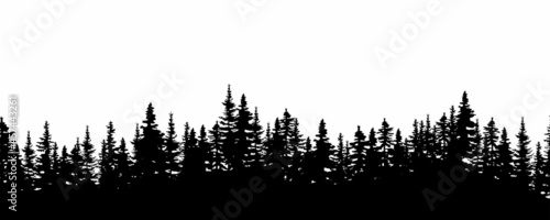 Realistic wood silhouette. Nature landscape. Environment background. Decor art. Vector illustration. Stock image.