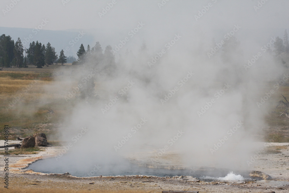 Steaming Geyser. Yellowstone National Park