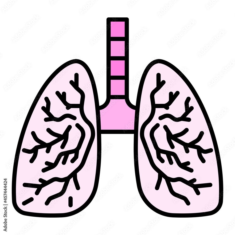 Healthy lungs icon. Outline healthy lungs vector icon color flat isolated on white Healthy lungs icon. Outline healthy lungs vector icon color flat isolated on white