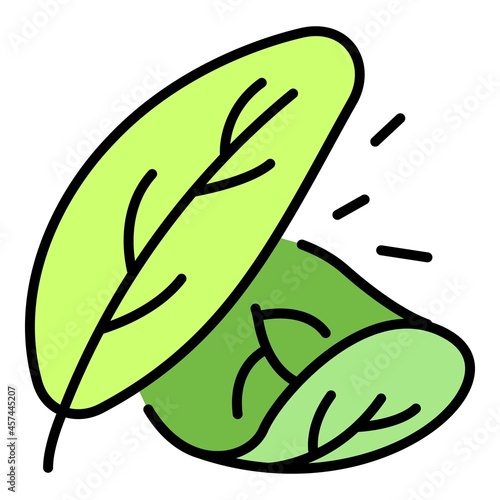 Spinach leaf icon. Outline spinach leaf vector icon color flat isolated on white