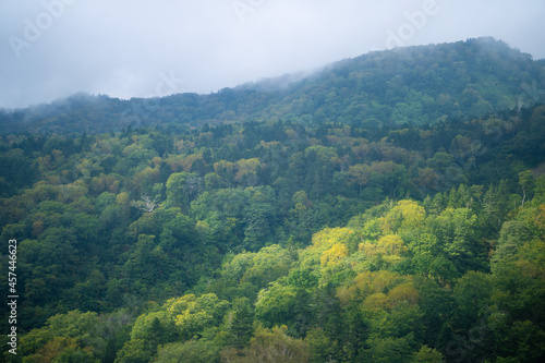                                                                                                                                   A view of trekking to the observatory of Tsugaike Nature Park in Otari Village  Kita-Azumi-gun  Nagano Prefecture  where the autumn leaves have begun to cha