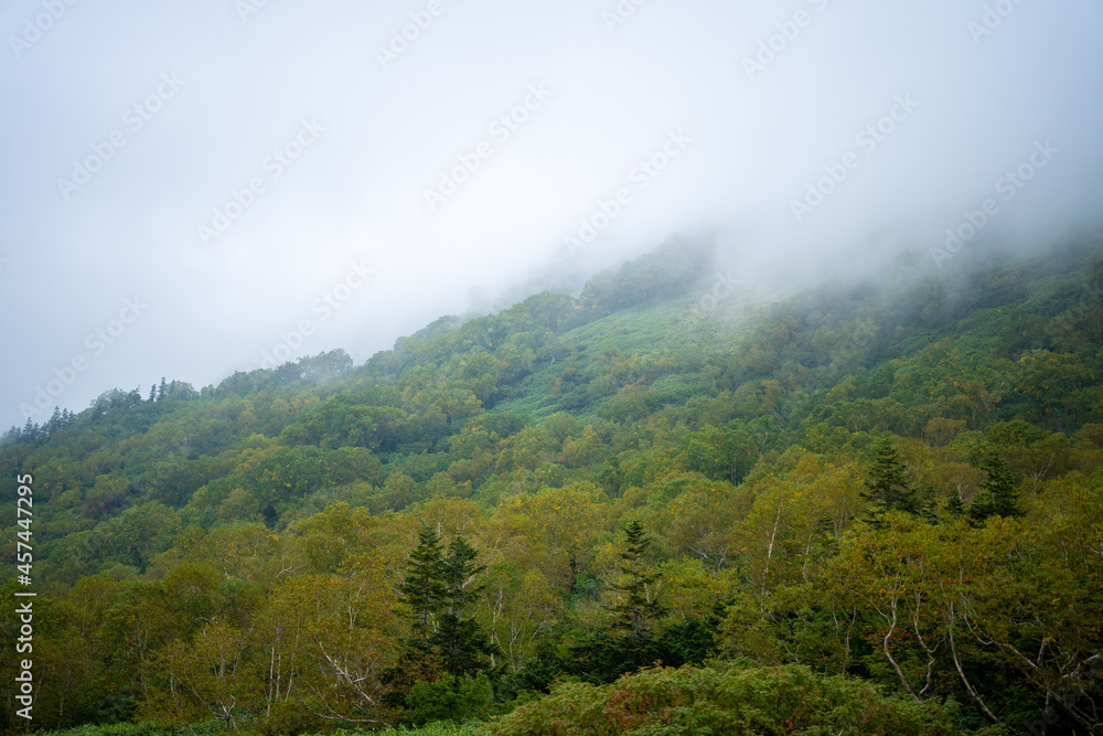 秋の紅葉が始まった栂池自然園の展望台までトレッキングしている風景 A view of trekking to the observatory of Tsugaike Nature Park, where the autumn leaves have started to change color. 秋の紅葉が始まった栂池自然園の展望台までトレッキングしている風景 A view of trekking to the observatory of Tsugaike Nature Park, where the autumn leaves have started to change color.