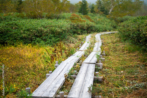 秋の紅葉が始まった栂池自然園の展望台までトレッキングしている風景 A view of trekking to the observatory of Tsugaike Nature Park, where the autumn leaves have started to change color.  photo