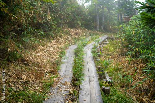 秋の紅葉が始まった栂池自然園の展望台までトレッキングしている風景 A view of trekking to the observatory of Tsugaike Nature Park, where the autumn leaves have started to change color.  photo