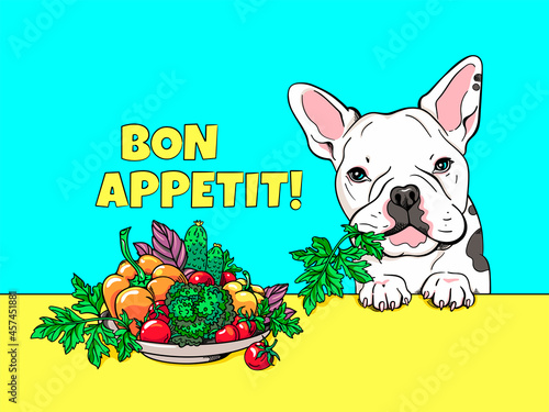 Cute cartoon french bulldog near a plate with different vegetables. A dog that loves healthy food. Bon appetit illustration