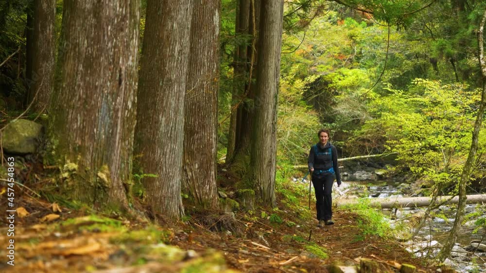 Slow motion, female walks alongside steam and strong tree trunks, Kumano Kodo Slow motion, female walks alongside steam and strong tree trunks, Kumano Kodo