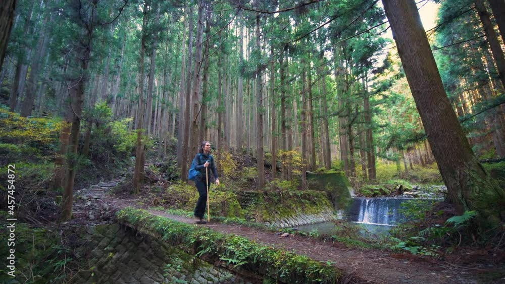Static, hiker crosses bridge next to waterfall in lush pine forest, Japan