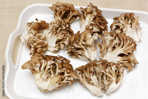 Maitake mushrooms on white tray.         