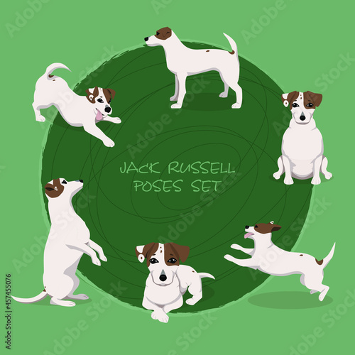 Jack russell terrier poses set with jumping, playing, sitting, standing, lying and begging dog. Vector illustrations for packaging, stickers or poster design.