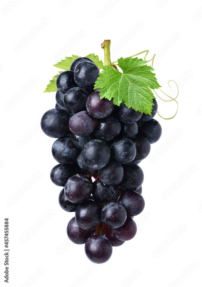 Black grape cluster with leaves isolated on white background. Black grape cluster with leaves isolated on white background.