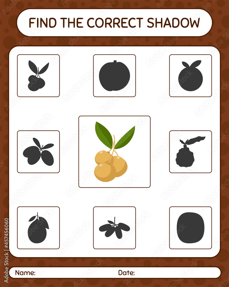 Find the correct shadows game with longan. worksheet for preschool kids, kids activity sheet