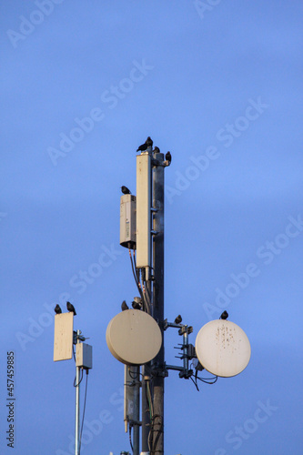 telecommunications tower of different mobile phone, radio and television operators with masts and microwave radio link antennas, 4g and deployment of 5g generation in cities and rural areas  photo