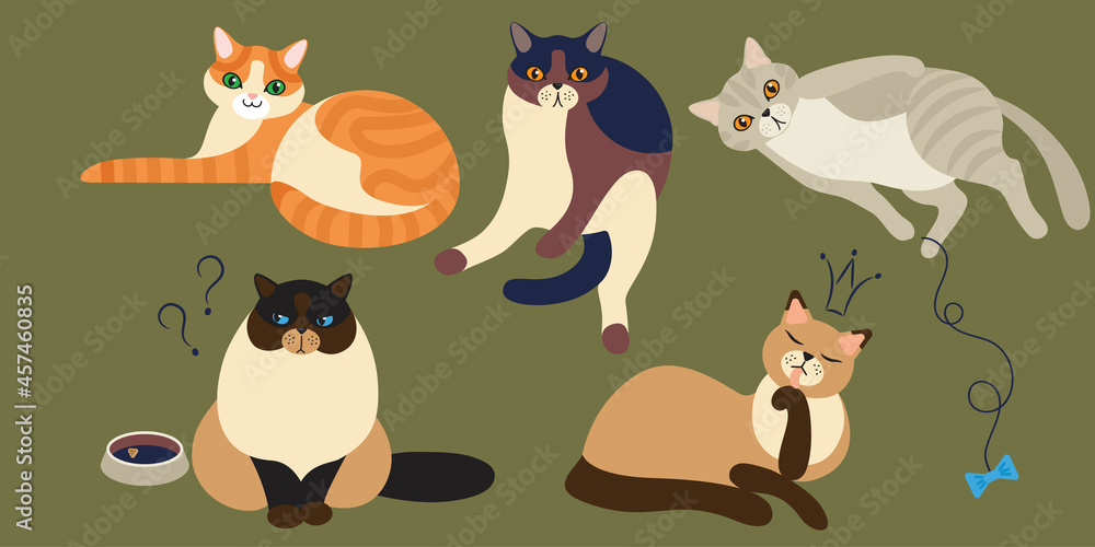 set of cute and funny cats set of cute and funny cats