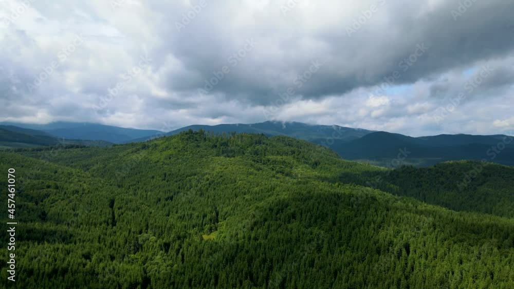Mountains forest the flight of the drone Ukraine Carpathians coniferous Trees landscape panorama Mountains forest the flight of the drone Ukraine Carpathians coniferous Trees landscape panorama