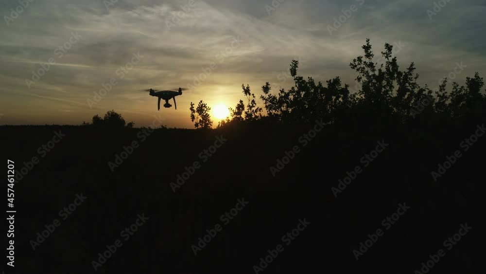 A dusk hour in the oak forest, and sun in the sky. The dark stage of twilight in the evening. A dusk hour in the oak forest, and sun in the sky. The dark stage of twilight in the evening.
