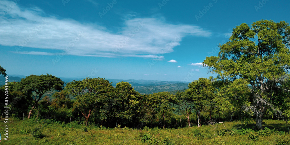 Obraz premium landscape with sky