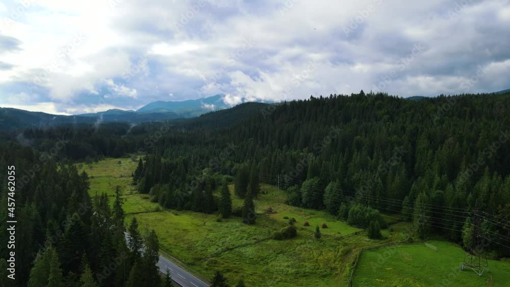 coniferous forest top view flight drone panorama coniferous forest top view flight drone panorama