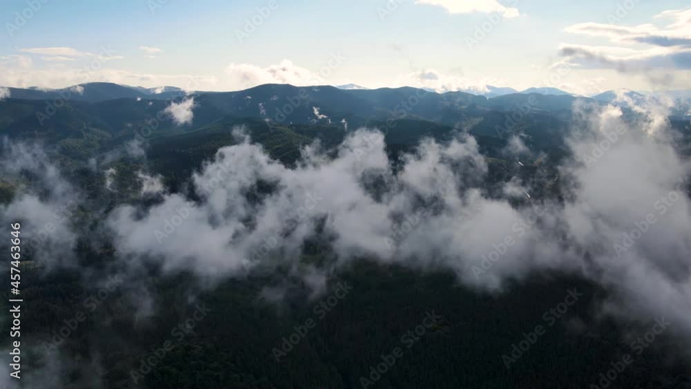 Rainy weather in mountains. Misty fog blowing over pine tree forest. Aerial footage of spruce forest trees on the mountain hills at misty day. Morning fog at beautiful autumn forest. Rainy weather in mountains. Misty fog blowing over pine tree forest. Aerial footage of spruce forest trees on the mountain hills at misty day. Morning fog at beautiful autumn forest.