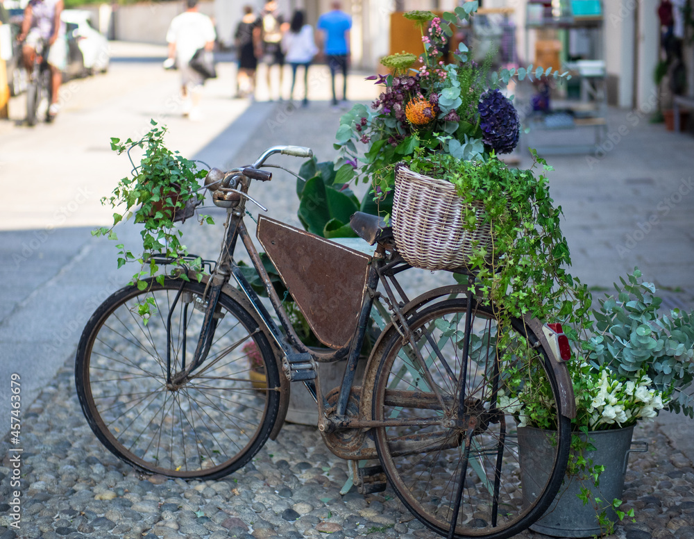 flower arrangement in wicker basket on vintage bicycle