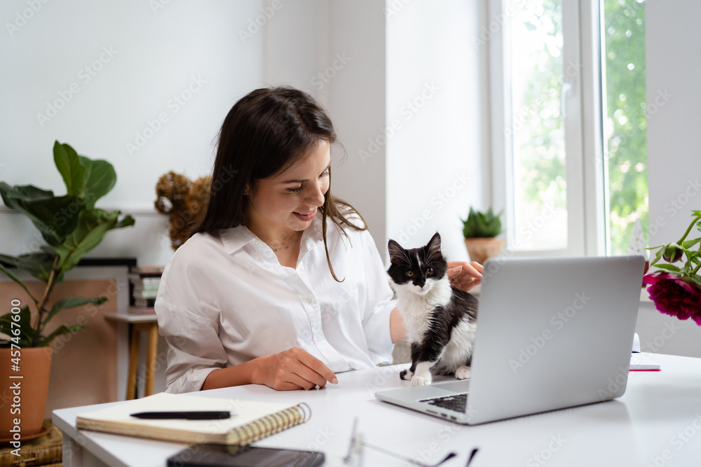 Image of young cheery positive beautiful businesswoman sitting indoors in office or home office using laptop computer petting a sweet kitten