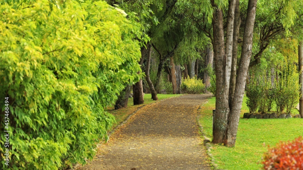 Bosque parque de Cuenca Ecuador Bosque parque de Cuenca Ecuador
