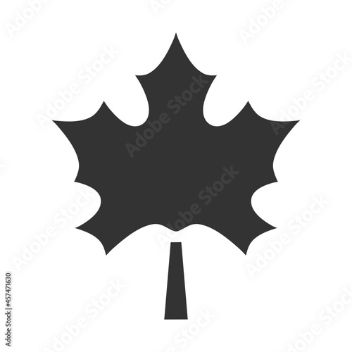 maple leaf icon