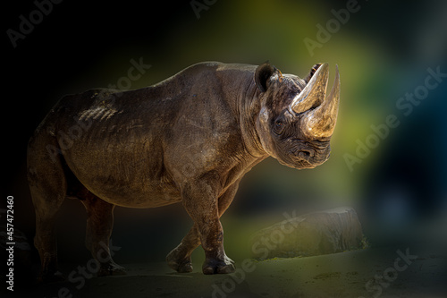 a large standing rhino with a green background
