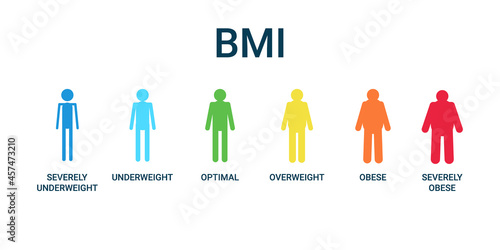 Bmi categories chart, body mass index and scale mass people. Severely underweight, underweight, optimal, overweight, obese, severely obese graph control health. Vector illustration