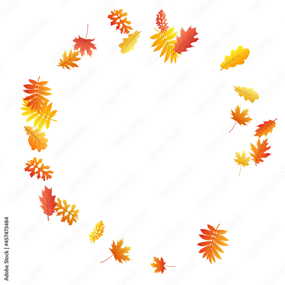 Oak, maple, wild ash rowan leaves vector, autumn foliage on white background. Oak, maple, wild ash rowan leaves vector, autumn foliage on white background.