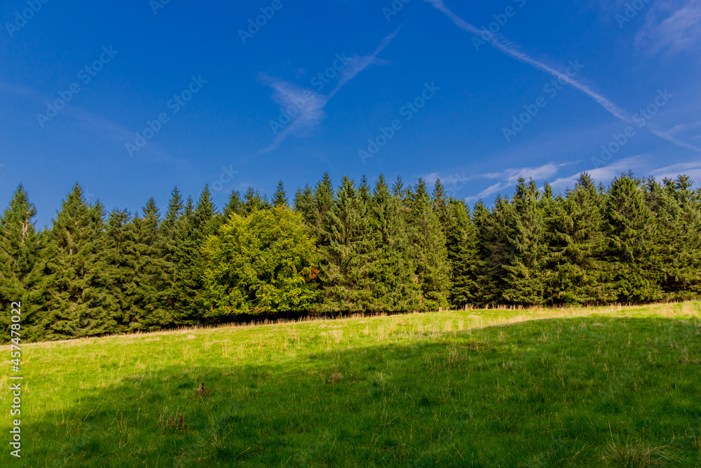 Fototapeta premium Spätsommerwanderung entlang des Rennsteigs bei schönstem Sonnenschein - Deutschland