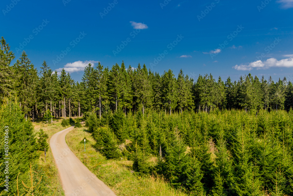 Spätsommerwanderung entlang des Rennsteigs bei schönstem Sonnenschein - Deutschland Spätsommerwanderung entlang des Rennsteigs bei schönstem Sonnenschein - Deutschland