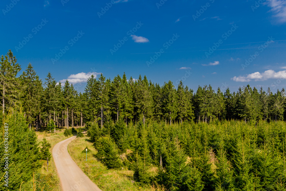 Spätsommerwanderung entlang des Rennsteigs bei schönstem Sonnenschein - Deutschland Spätsommerwanderung entlang des Rennsteigs bei schönstem Sonnenschein - Deutschland