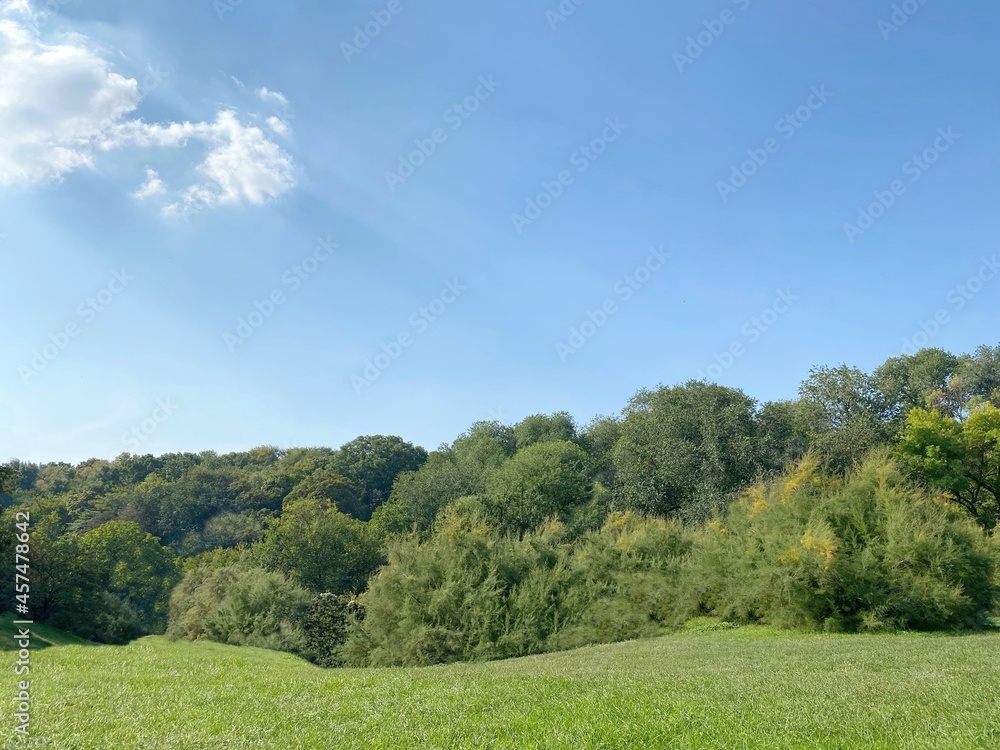 Green grass field and blue sky. Beautiful summer lawn landscape with forest trees. Green meadow in park over sunny clear heaven. Lush summer greenery foliage. Green grass field and blue sky. Beautiful summer lawn landscape with forest trees. Green meadow in park over sunny clear heaven. Lush summer greenery foliage.