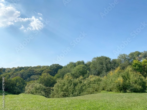 Green grass field and blue sky. Beautiful summer lawn landscape with forest trees. Green meadow in park over sunny clear heaven. Lush summer greenery foliage.