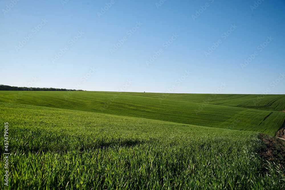 Beautiful field landscape. Countryside village rural natural background at sunny weather in spring summer. Green grass and blue sky with clouds. Nature protection concept.