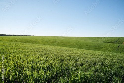 Beautiful field landscape. Countryside village rural natural background at sunny weather in spring summer. Green grass and blue sky with clouds. Nature protection concept.