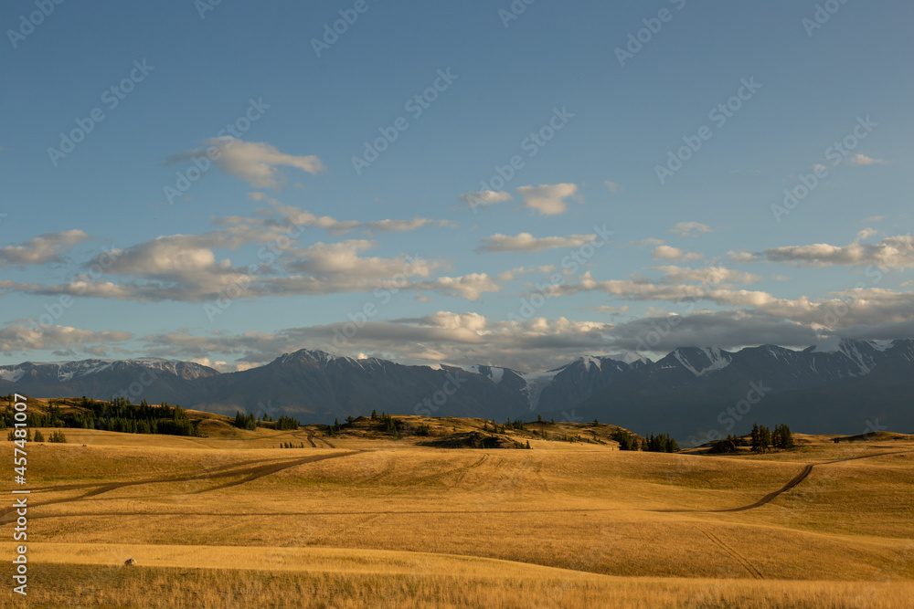 Fototapeta premium a beautiful photo of mountains covered by clouds and a golden valley covered with yellowish grass 
