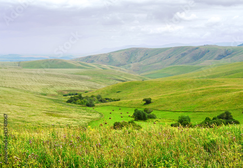 Steppe hollow in the foothills of the Altai