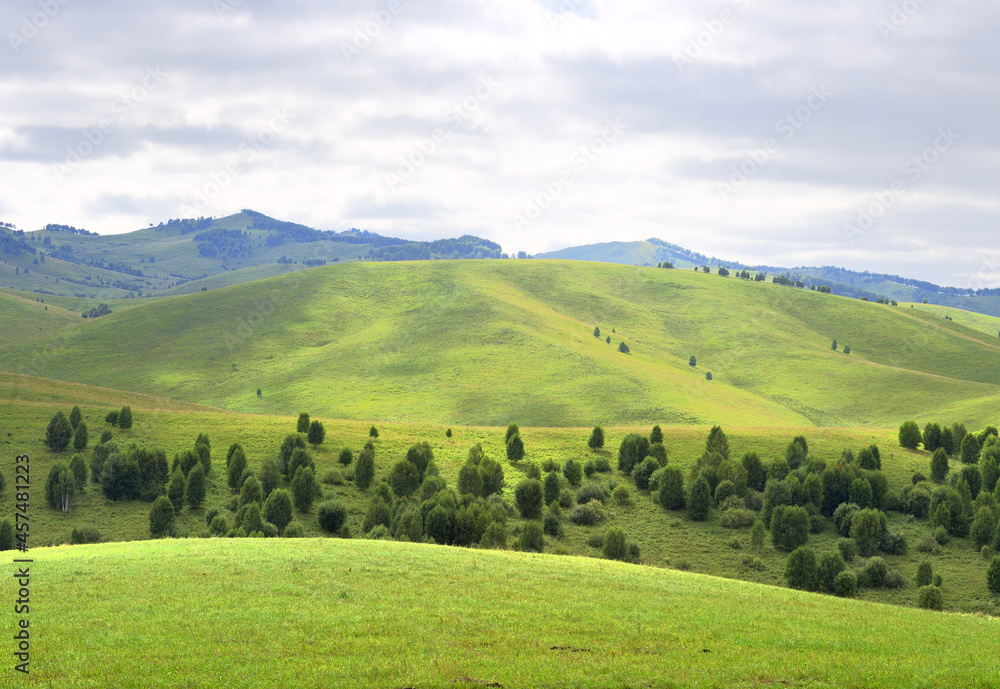 Green hills in the foothills of the Altai