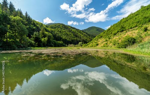 Reflection on water surface