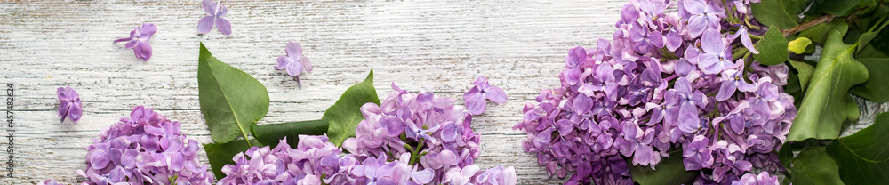 banner of blooming spring lilac flowers on a white wooden background